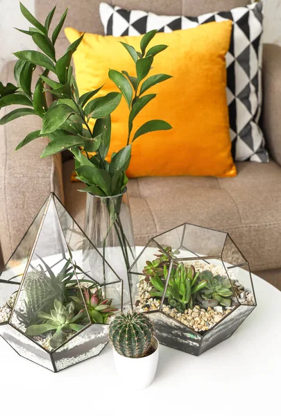 Florarium Dan Vas Dengan Cabang Tanaman Atas Meja Ruang Tamu — Stok Foto