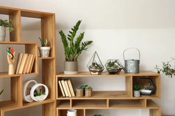 Librería Con Florarios Plantas Interior Cerca Pared Luz — Foto de Stock