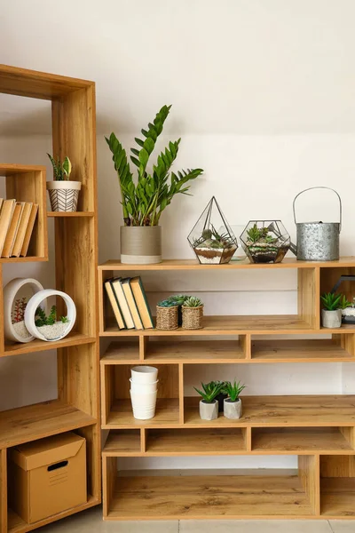 Librería Con Florarios Plantas Interior Cerca Pared Luz —  Fotos de Stock