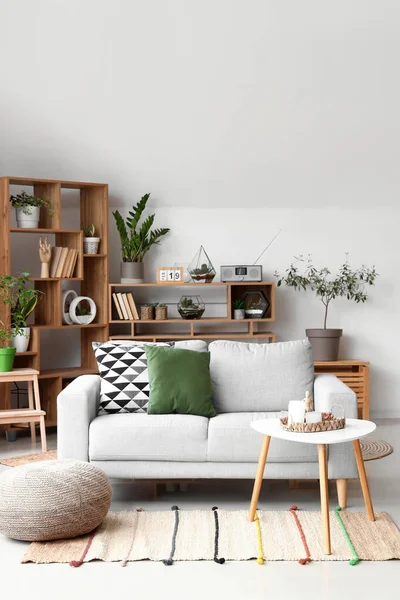 Interior Ruang Tamu Cahaya Dengan Sofa Florarium Dan Rak Buku — Stok Foto
