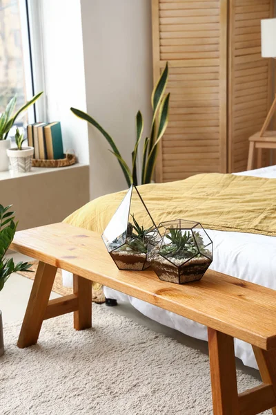 Florariums Wooden Bench Bedroom — Stock Photo, Image