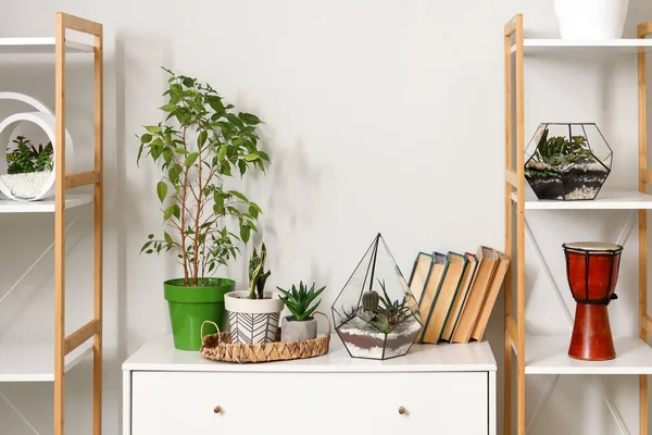 Florarios Con Libros Plantas Interior Cómoda Habitación — Foto de Stock