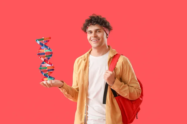 Male student with DNA model on red background