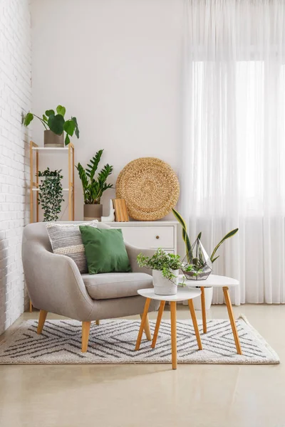 Cozy Grey Armchair Cushions Houseplants Tables Interior Light Living Room — Stock Photo, Image