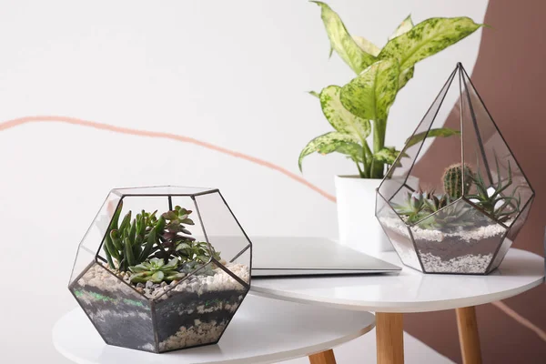 stock image Florariums with laptop on tables in living room