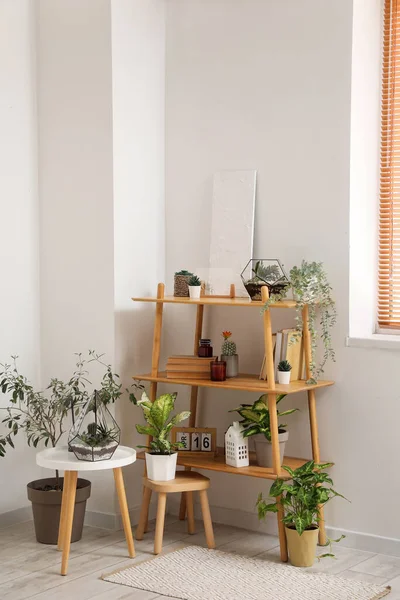 Interior Living Room Florariums Plants Shelving Unit — Stock Photo, Image