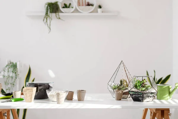 Florarium Dengan Alat Berkebun Atas Meja Kamar — Stok Foto