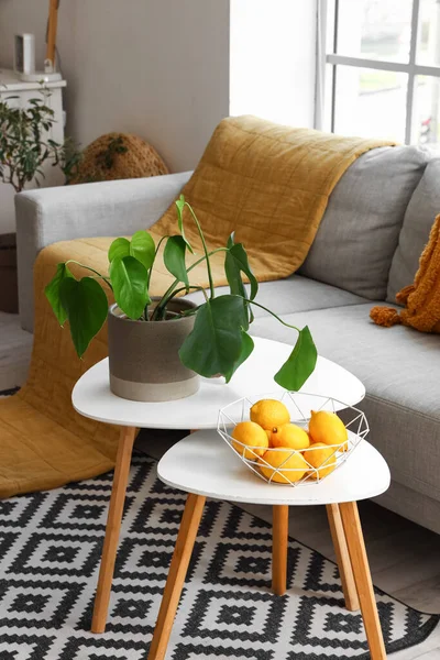 Couchtische Mit Zitronen Korb Und Zimmerpflanze Neben Sofa Wohnzimmer — Stockfoto