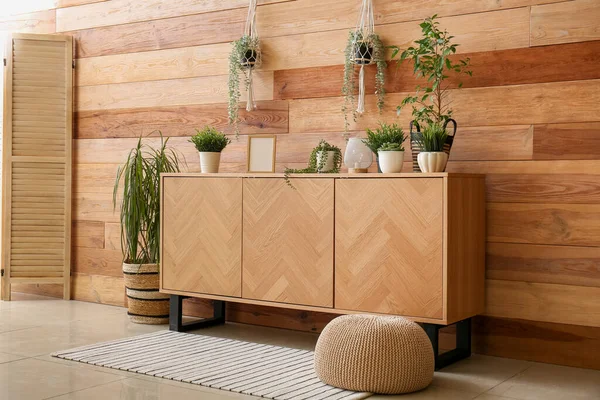 Chest Drawers Houseplants Wooden Wall Room — Stock Photo, Image