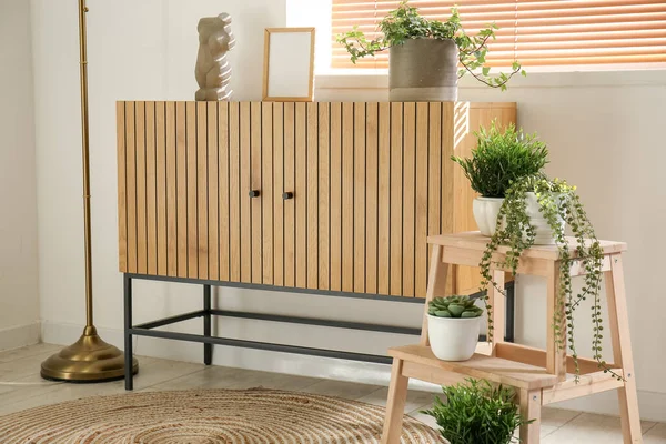 Interior Living Room Wooden Commode Houseplants Stepladder — Stock Photo, Image