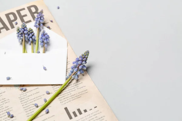Composition Beautiful Muscari Flowers Newspaper Grey Background — Stock Photo, Image