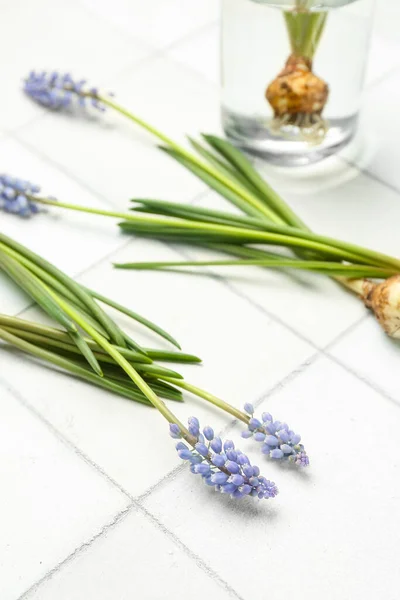 Beautiful Muscari Flowers Jar White Tiled Table — Stock Photo, Image