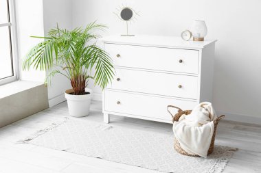 Büyük pencerenin yanındaki sandık ve ev bitkisi.