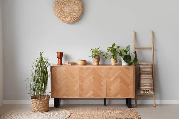 Stylish Wooden Cabinet Houseplants Grey Wall — Stock Photo, Image