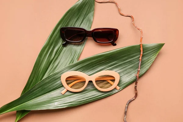 褐色背景的带棕榈叶和树枝的时髦太阳镜 — 图库照片