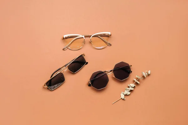 Stylish Sunglasses Eucalyptus Branch Brown Background — Stock Photo, Image
