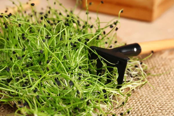 Fresh Micro Green Rake Table Closeup — Stock Photo, Image
