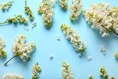 Mavi arka planda çiçek açan leylak çiçekleri