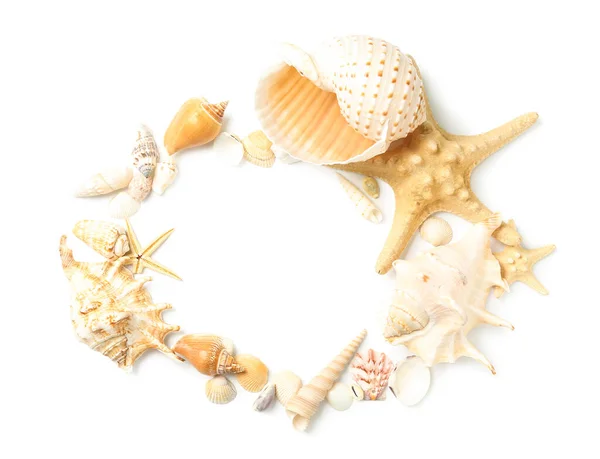 Frame Made Seashells Starfishes White Background — Stock Photo, Image
