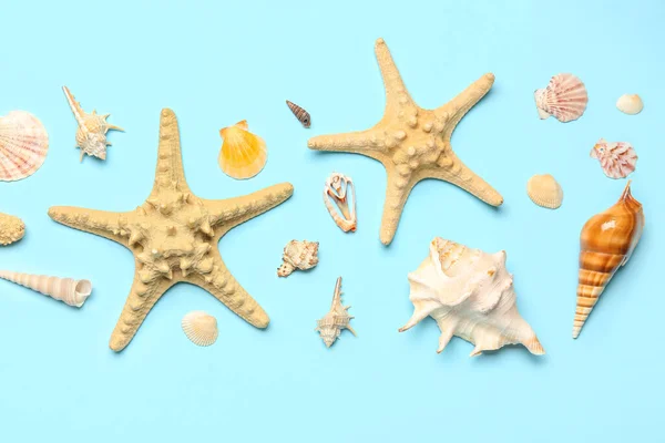 Seashells Starfishes Blue Background — Stock Photo, Image