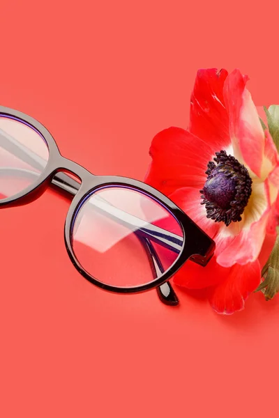 Stylish Eyeglasses Poppy Flower Red Background — Stock Photo, Image