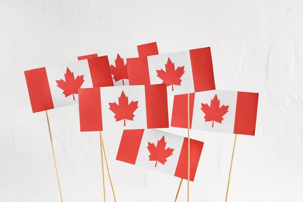 Banderas Papel Canadá Sobre Fondo Blanco — Foto de Stock