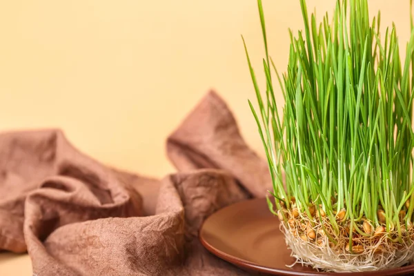 米色背景的新鲜麦草和厨房毛巾 — 图库照片