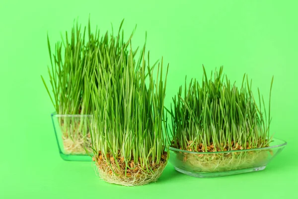 绿色背景的新鲜麦草 — 图库照片