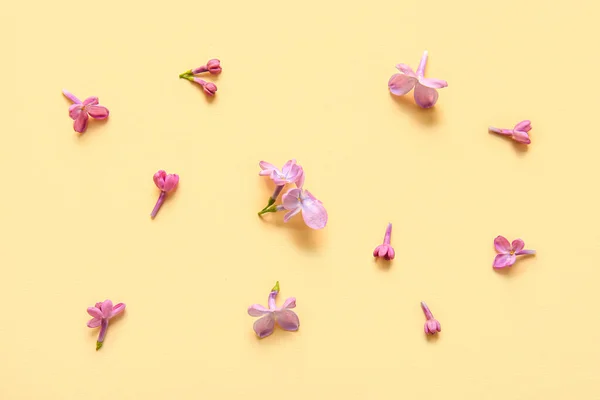 Kvetoucí Šeříkové Květy Béžovém Pozadí — Stock fotografie