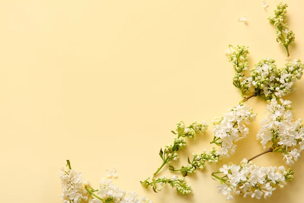 stock image Blooming lilac flowers on beige background