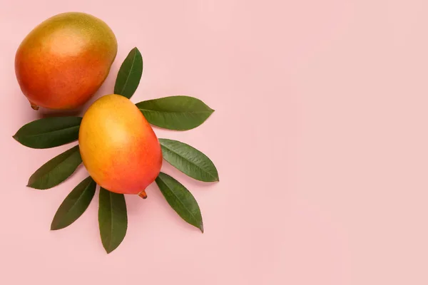 Fresh Ripe Mangoes Light Pink Background — Stock Photo, Image