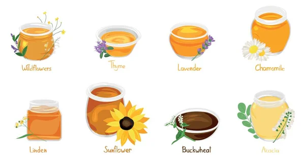 白い背景に健康的な蜂蜜のコレクション — ストックベクタ