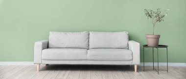 Oturma odasındaki yeşil duvarın yanında masa ve çiçek olan gri kanepe.