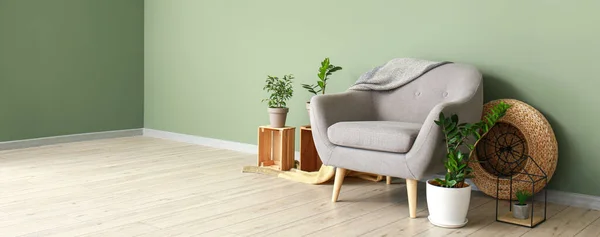 部屋の緑の壁の近くに観葉植物とグレーのアームチェア デザインのバナー — ストック写真