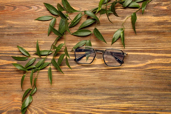 Stylish Eyeglasses Plant Branches Wooden Background — Stock Photo, Image