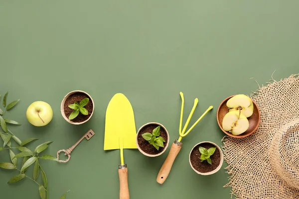 Peat Pots Green Seedlings Shovel Rake Green Background — Stock Photo, Image