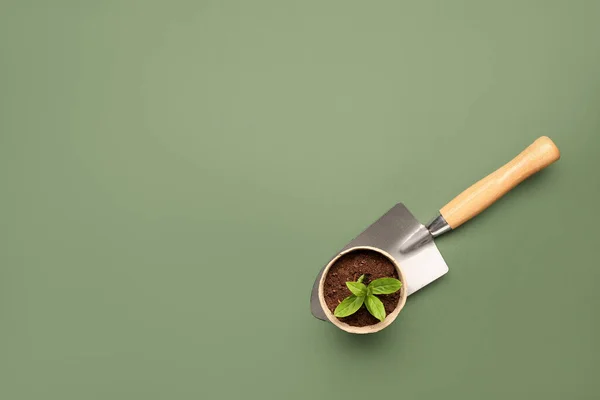 Peat Pot Green Seedling Shovel Green Background — Stock Photo, Image