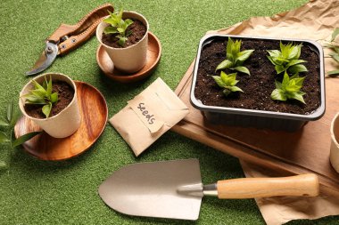 Yeşil arka planda tohumlar, fidanlar ve bahçe araçları ile paket