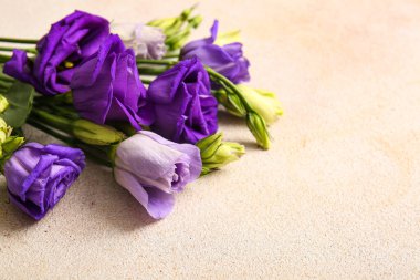 Işıklı arka planda güzel Eustoma çiçekleri, yakın plan.