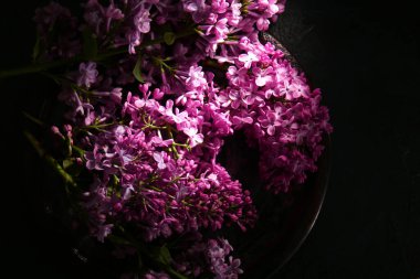 Koyu arkaplanda çiçek açan leylak dalları olan plaka, yakın plan