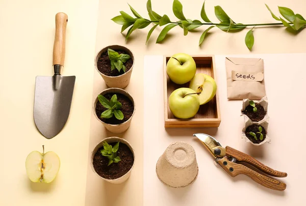 Pack Con Semillas Plántulas Verdes Manzanas Herramientas Jardinería Sobre Fondo — Foto de Stock