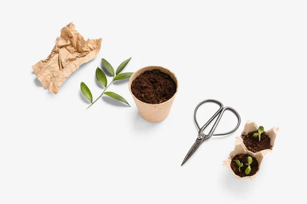 白い背景に土 緑の枝 羊皮紙と苗の泥炭鍋 — ストック写真