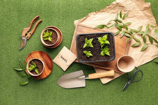 Pack Con Semillas Plántulas Herramientas Jardinería Sobre Fondo Verde — Foto de Stock