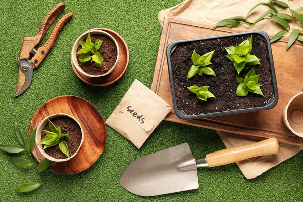 Packung Mit Samen Sämlingen Und Gartengeräten Auf Grünem Hintergrund — Stockfoto