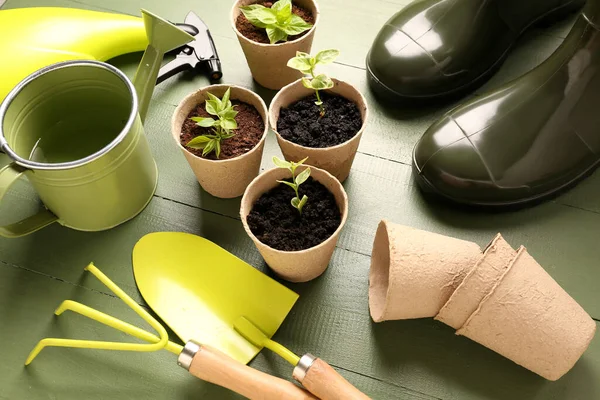 Peat Pots Seedlings Gardening Tools Green Wooden Background — Stock Photo, Image