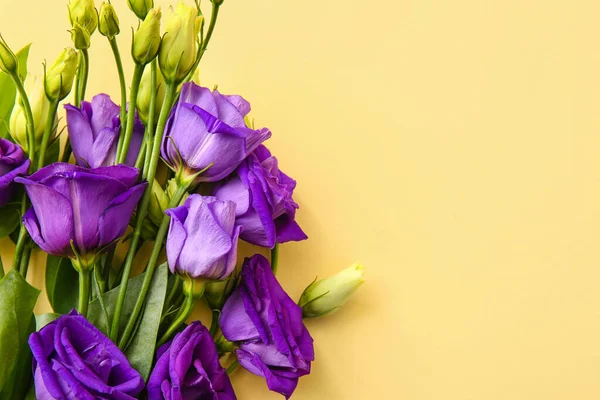 Bouquet Delicate Eustoma Flowers Color Background Closeup — Stock Photo, Image