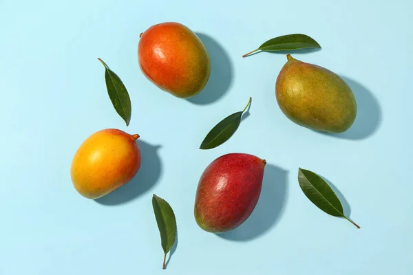 Fresh Ripe Mangoes Light Blue Background — Stock Photo, Image