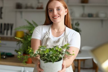 Young woman with green houseplant in kitchen