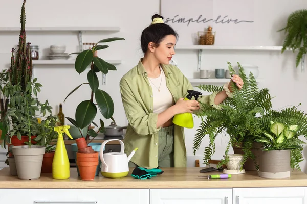 Young Woman Spraying Green Houseplants Water Kitchen — Stockfoto