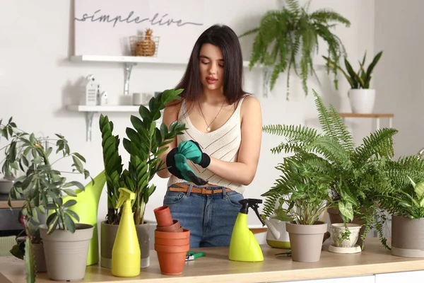 Junge Frau Mit Zimmerpflanzen Steckt Gartenhandschuhe Küche — Stockfoto